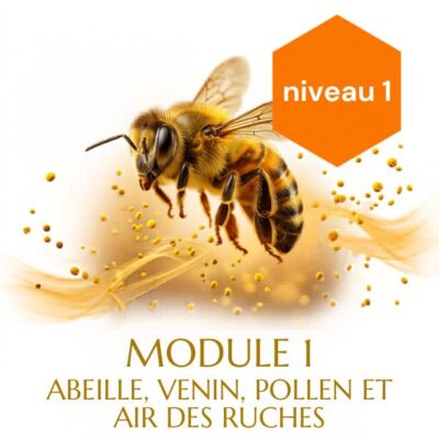 Apithérapie 2026/2027 module 1 Abeille, Venin, Pollen, Air des Ruches (certifié Datadock et Qualiopi Centre de formation)